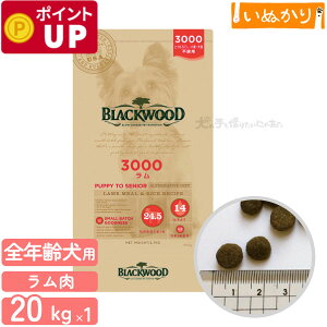 ubNEbh 3000 p   ^ SN 20kg (5kg×4) hCt[h hbOt[h I[Ctt[h HAM[ Ƃ낱EE哤sgp