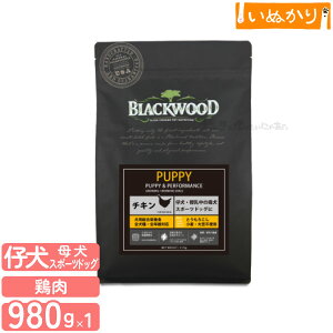 ubNEbh PUPPY p `L  SN 980g hCt[h hbOt[h I[Ctt[h HAM[ Ƃ낱EE哤sgp ꌢ 