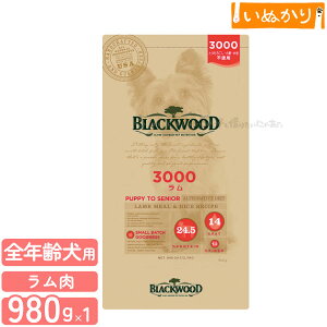 ubNEbh 3000 p   ^ SN 2.7kg hCt[h hbOt[h I[Ctt[h HAM[ Ƃ낱EE哤sgp