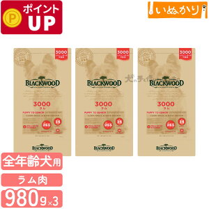 ubNEbh 3000 p   ^ SN 980g×3 hCt[h hbOt[h I[Ctt[h HAM[ Ƃ낱EE哤sgp