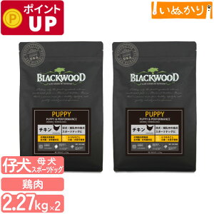 ubNEbh PUPPY p `L  SN 2.7kg×2 hCt[h hbOt[h I[Ctt[h HAM[ Ƃ낱EE哤sgp ꌢ 