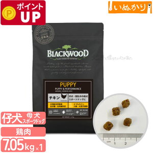 ubNEbh PUPPY p `L  SN 7.05kg hCt[h hbOt[h I[Ctt[h HAM[ Ƃ낱EE哤sgp ꌢ 