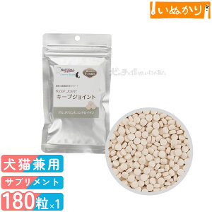 Jg[[h i`n[xXg L[vWCgLp 180 ֐ ֐߃PA GCWOPA  Tvg Tv NT|[g