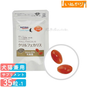 Jg[[h i`n[xXg NtFJX Lp 35 NIC 畆E ֐߃PA Ɖu  GCWOPA JvZ Tvg Tv NT|[g