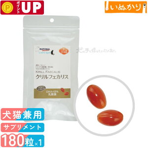 Jg[[h i`n[xXg NtFJX Lp 180 NIC 畆E ֐߃PA Ɖu  GCWOPA JvZ Tvg Tv NT|[g