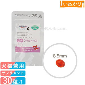 Jg[[h i`n[xXg v`NIC Lp 30 NIC 畆E ֐߃PA Ɖu  JvZ Tvg Tv NT|[g