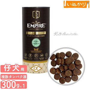 GpCA ps[O[X  p e ꌢ   300g hCt[h WrG ^pN ᎉb sgp