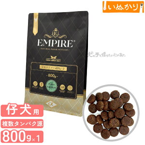 GpCA ps[O[X  p e ꌢ   800g (400g×2) hCt[h WrG ^pN ᎉb sgp