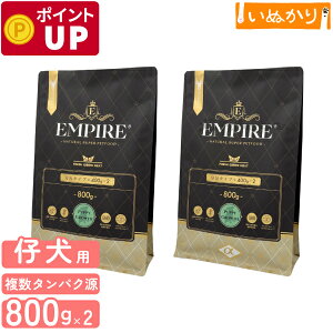 GpCA ps[O[X  p e ꌢ   800g (400g×2) ×2hCt[h WrG ^pN ᎉb sgp