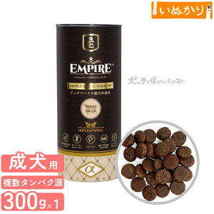 GpCA A_gfC[  p    300g hCt[h WrG ^pN ᎉb sgp