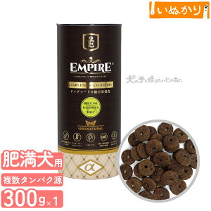 GpCA XyVoX_CGbg p    LW }EY  300g hCt[h WrG ^pN ᎉb sgp