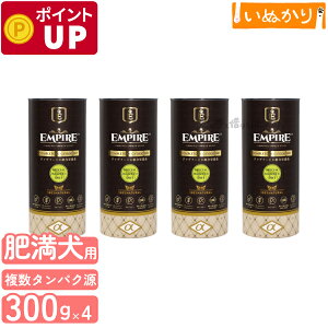 GpCA XyVoX_CGbg p    LW }EY  300g×4 hCt[h WrG ^pN ᎉb sgp