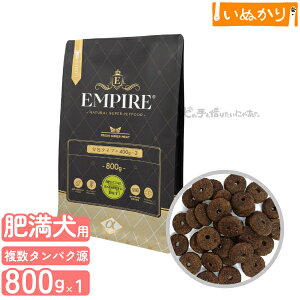 GpCA XyVoX_CGbg p    LW }EY  800g (400g×2) hCt[h WrG ^pN ᎉb sgp