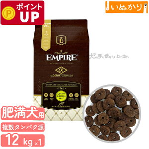 GpCA XyVoX_CGbg p    LW }EY  12kghCt[h WrG ^pN ᎉb sgp