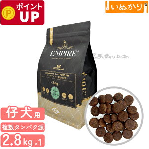 GpCA ps[O[X  p e ꌢ   2.8kg hCt[h WrG ^pN ᎉb sgp