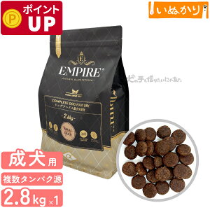 GpCA A_gfC[  p    2.8kg hCt[h WrG ^pN ᎉb sgp