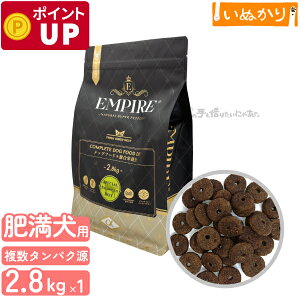 GpCA XyVoX_CGbg p    LW }EY  2.8kg hCt[h WrG ^pN ᎉb sgp