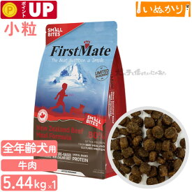 ファーストメイト ニュージーランド ビーフ 犬用 小粒 牛肉 全年齢用 5.44kg ドライフード グレインフリー グルテンフリー 小型犬 ドッグフード 大容量