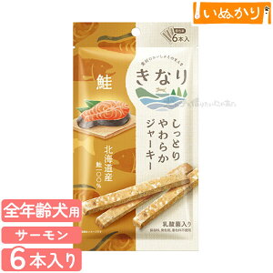 Ȃ Ƃ炩W[L[  p SNp 1(6{) W[L[   