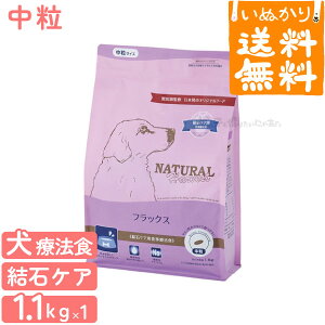 yz i`n[xXg p tbNX 1.1kg ΃PA HÖ@H hbOt[h p hCt[h 