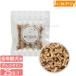 i`n[xXg voCIrXPbg ORT~ p 25g  g[c ق ֐߃PA  Y  e