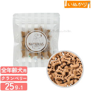 i`n[xXg voCIrXPbg Nx[ p 25g  g[c ق N Agu Y  e