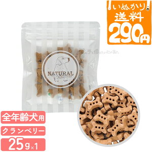 y1_܂ 290~z i`n[xXg voCIrXPbg Nx[ p 25g  g[c ق N Agu Y  e yʂ胉Cgցz y