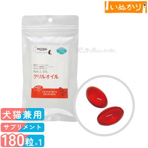 i`n[xXg Jg[[h NIC Lp 180 NIC 畆E ֐߃PA  Ɖu \tgJvZ Tvg Tv NT|[g