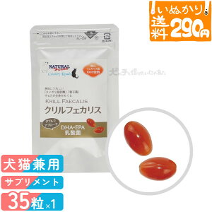 y1_܂ 290~z i`n[xXg Jg[[h NtFJX Lp 35 NIC 畆E ֐߃PA Ɖu  GCWOPA \tgJvZ Tv