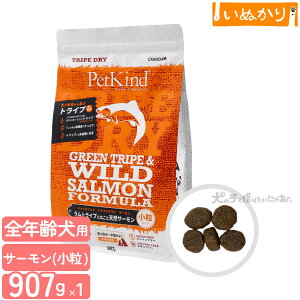 ybgJCh gCvhC O[gCvChT[  907g p SN  gCv T[ hbOt[h hCt[h A~m_ sgp e