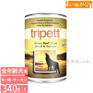 ybgJCh gCybg O[r[tgCv _bNT[ 340g p SN r[t _bN T[ EFbgt[h hbOt[h gCv