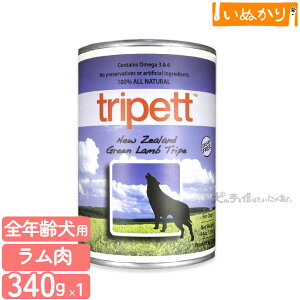 ybgJCh gCybg j[W[h O[gCv 340g p SN  EFbgt[h hbOt[h gCv