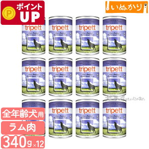 ybgJCh gCybg j[W[h O[gCv 340g×12 p SN  EFbgt[h hbOt[h gCv ܂Ƃߔ