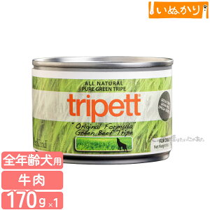 ybgJCh gCybg IWitH[~@r[tgCv 170g n[t p SN r[t EFbgt[h hbOt[h gCv  e