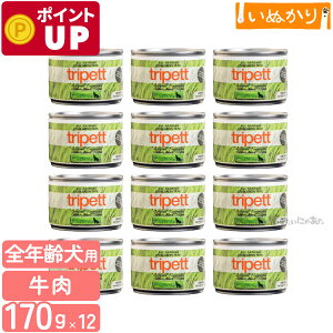 ybgJCh gCybg IWitH[~@r[tgCv 170g×12 n[t p SN r[t EFbgt[h hbOt[h gCv ܂Ƃߔ