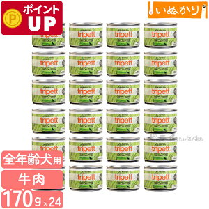 ybgJCh gCybg IWitH[~@r[tgCv 170g×24 n[t p SN r[t EFbgt[h hbOt[h gCv ܂Ƃߔ