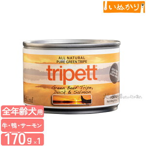 ybgJCh gCybg O[r[tgCv _bNT[ 170g n[t p SN r[t _bN T[ EFbgt[h hbOt[h gCv  e