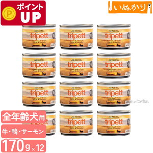 ybgJCh gCybg O[r[tgCv _bNT[ 170g×12 n[t p SN r[t _bN T[ EFbgt[h hbOt[h gCv ܂Ƃߔ