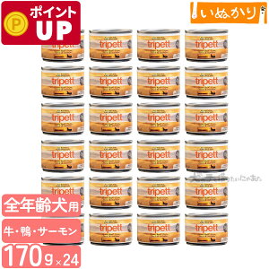 ybgJCh gCybg O[r[tgCv _bNT[ 170g×24 n[t p SN r[t _bN T[ EFbgt[h hbOt[h gCv ܂Ƃߔ