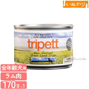 ybgJCh gCybg j[W[h O[gCv 170g n[t p SN  EFbgt[h hbOt[h gCv  e