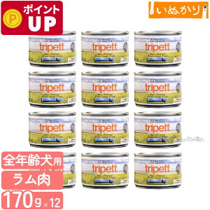 ybgJCh gCybg j[W[h O[gCv 170g×12 n[t p SN  EFbgt[h hbOt[h gCv ܂Ƃߔ