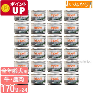 ybgJCh gCybg O[r[tgCvxj\ 170g×24 n[t p SN r[t xj\ EFbgt[h hbOt[h gCv ܂Ƃߔ