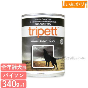 ybgJCh gCybg O[oC\gCv 340g p SN oC\ EFbgt[h hbOt[h gCv