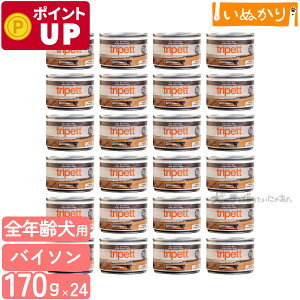 ybgJCh gCybg O[oC\gCv 170g×24 n[t p SN oC\ EFbgt[h hbOt[h gCv ܂Ƃߔ