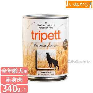 ybgJCh gCybg bh~[gtH[~ 340g p SN r[t xj\ oC\  EFbgt[h hbOt[h gCv