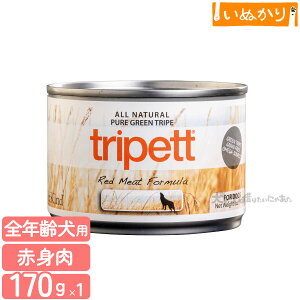 ybgJCh gCybg bh~[gtH[~ 170g n[t p SN r[t xj\ oC\  EFbgt[h hbOt[h gCv  e