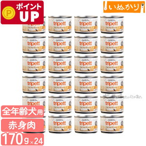 ybgJCh gCybg bh~[gtH[~ 170g×24 n[t p SN r[t xj\ oC\  EFbgt[h hbOt[h gCv ܂Ƃߔ