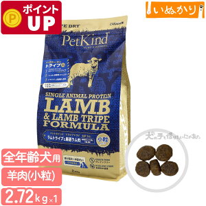 ybgJCh gCvhC O[gCvSAP  2.72kg p SN  gCv hbOt[h hCt[h A~m_ sgp AM[z