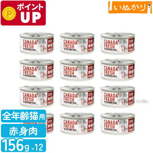 ybgJCh Ji_tbV bh~[g 156g×12 Lp h{H SN r[t   r Ԑg EFbgt[h Lbgt[h ܂Ƃߔ