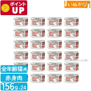 ybgJCh Ji_tbV bh~[g 156g×24 Lp h{H SN r[t   r Ԑg EFbgt[h Lbgt[h ܂Ƃߔ